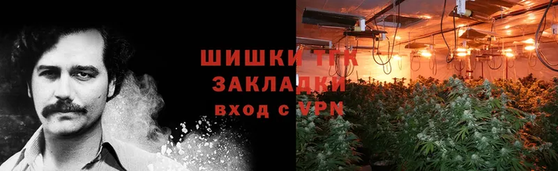 Бошки марихуана Ganja  Луза 